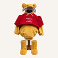 Winnie the Pooh