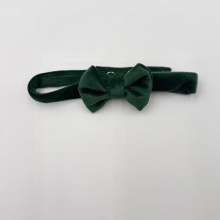 Papillon in velluto verde bosco